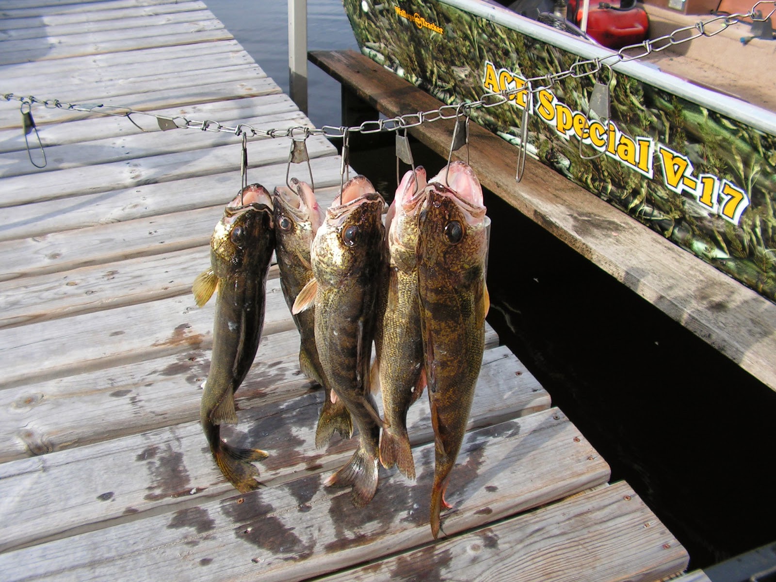 Ace's Houghton Lake Fishing Report Friday /6 report