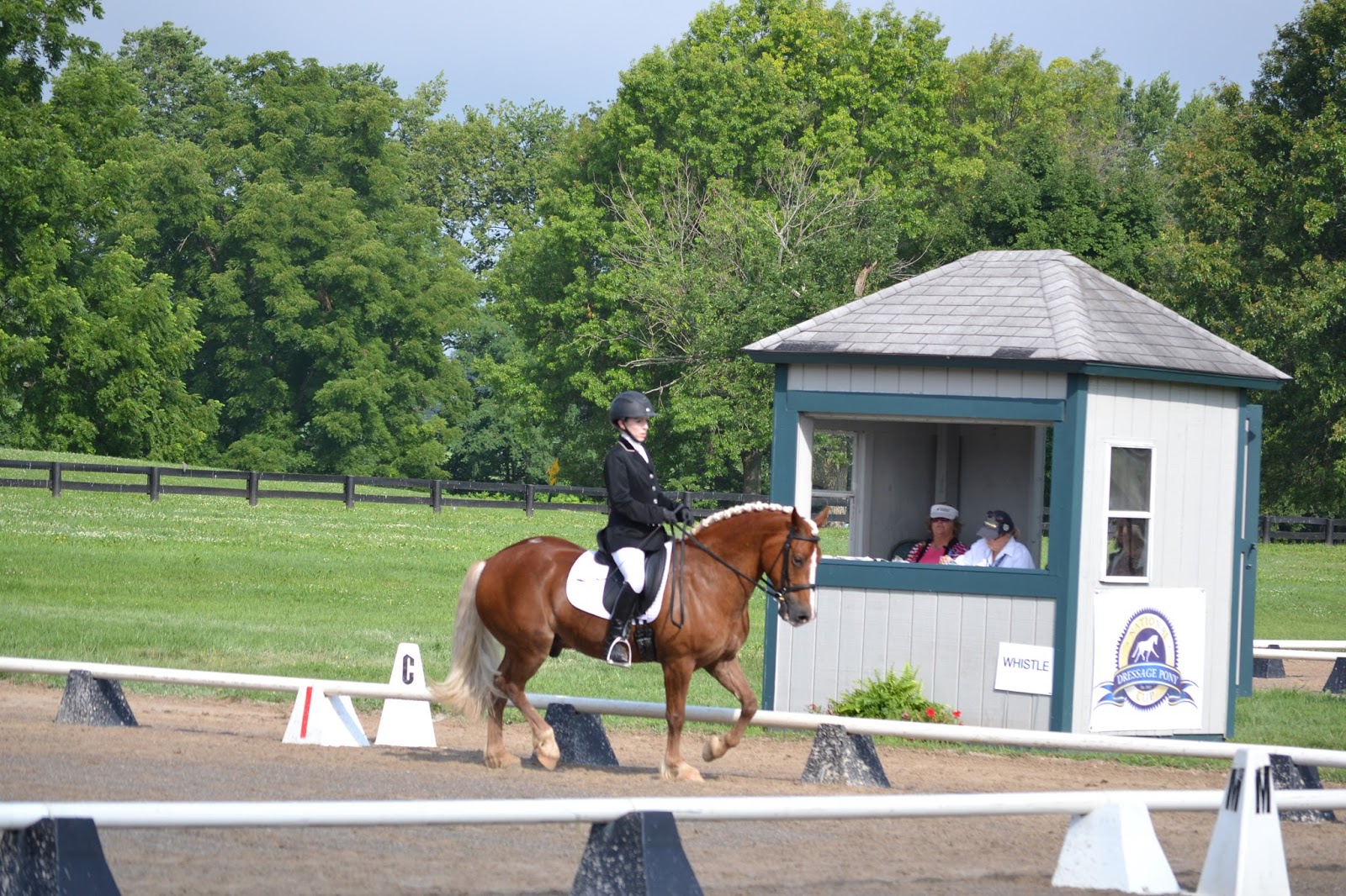 Cob Jockey NDPC First Level Test 2