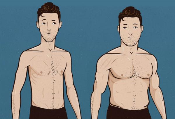 Como Ganhar Massa Sendo Ectomorfo