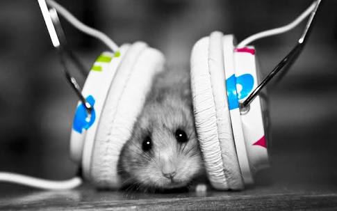 Mouse Listen To Music Wallpaper