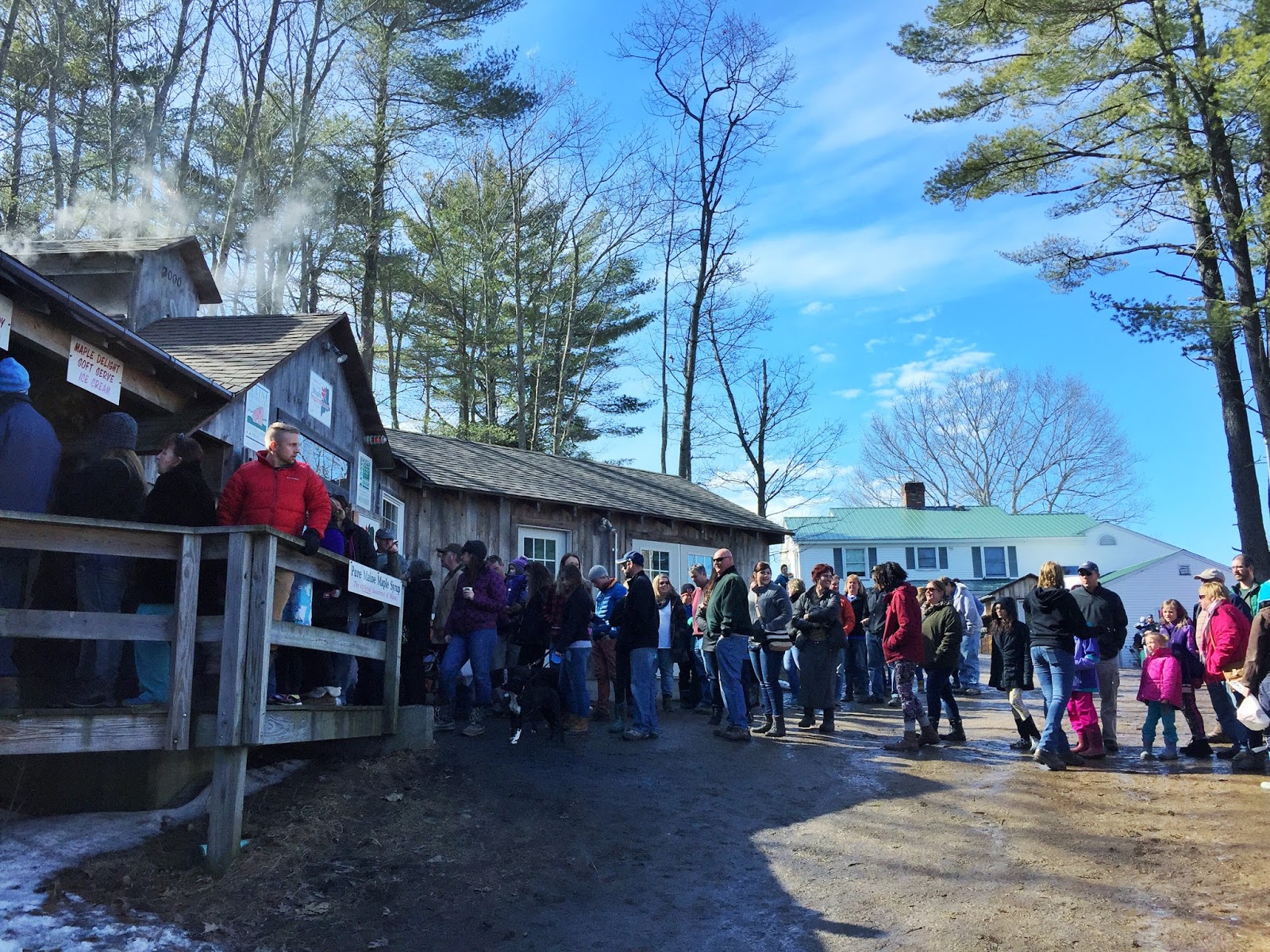 intern[life] [back] to that sugar shack