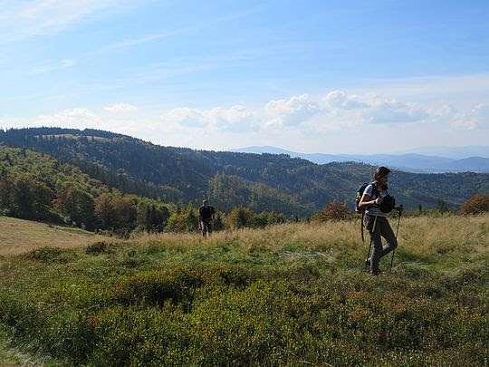 Opuszczamy Hale Kamińskiego. Opuszczamy Hale Kamińskiego.