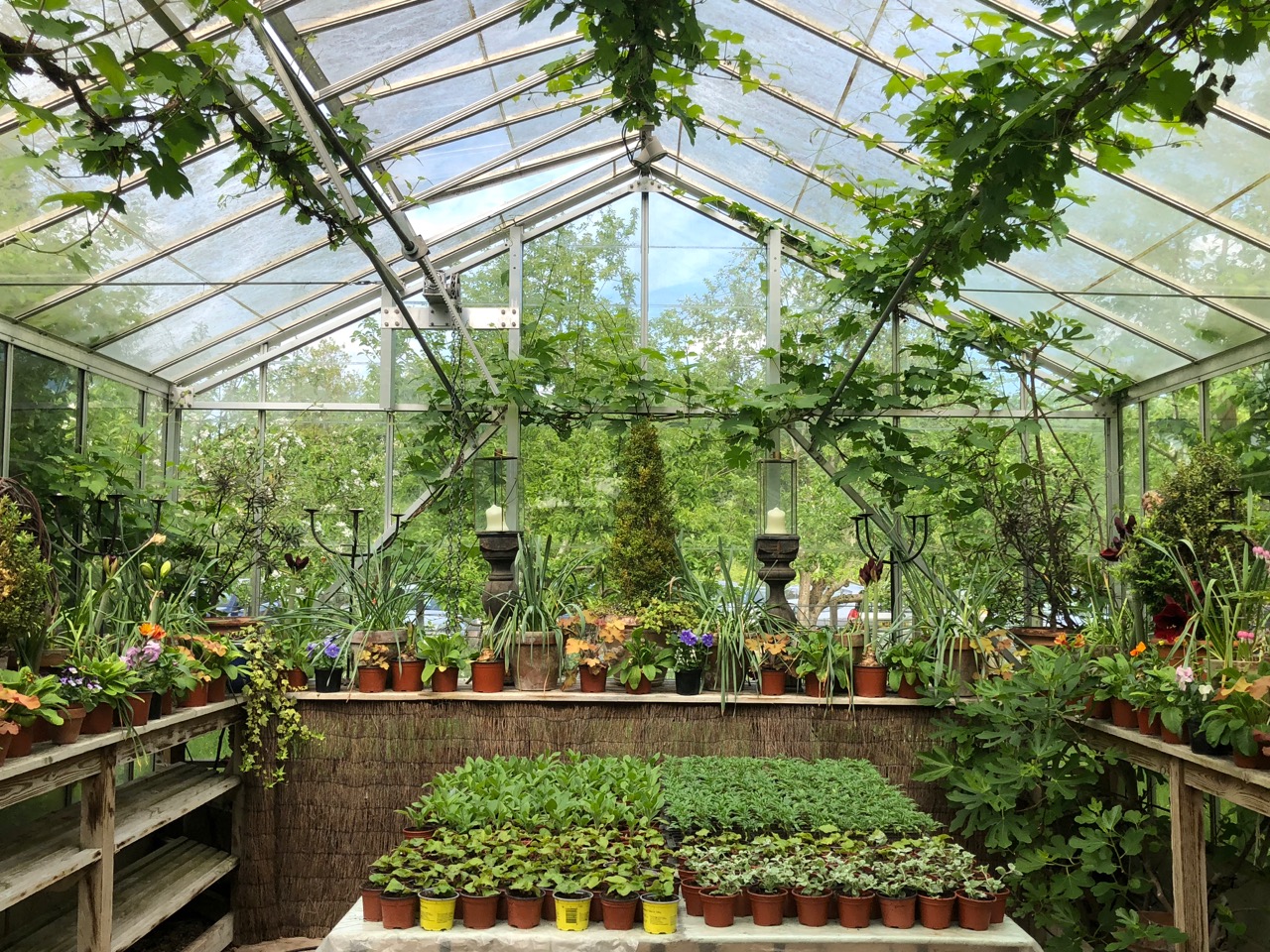 10 best spring gardens 2018 (2) West Green House, Hampshire