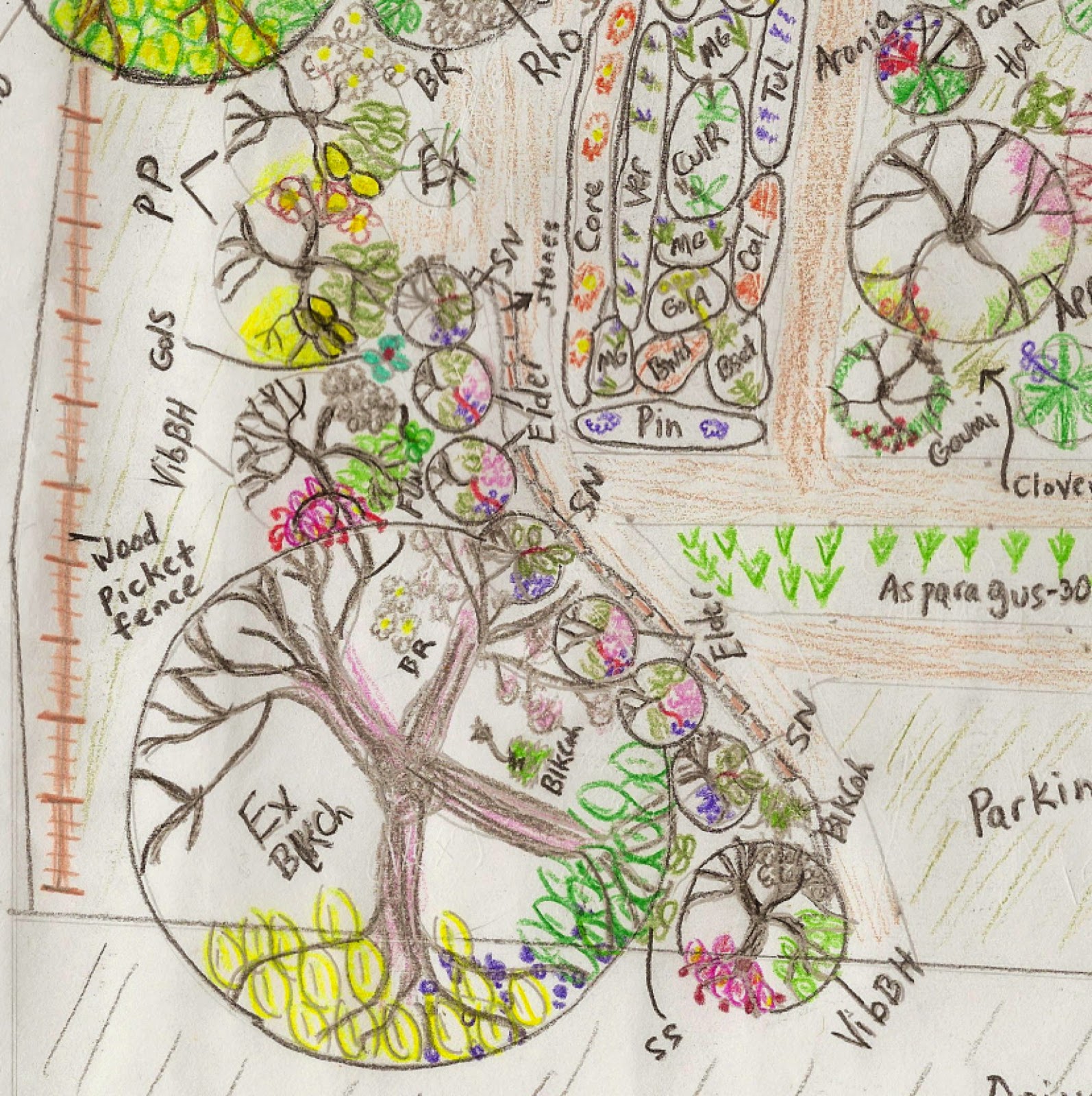 M R Gardens: Ecosystem approach to landscape design using Appalachian ...