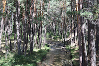 Río Revinuesa (Vinuesa, Soria) Río Revinuesa (Vinuesa, Soria) by Susana Cabeza