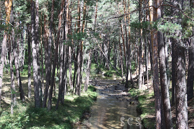 Río Revinuesa (Vinuesa, Soria) Río Revinuesa (Vinuesa, Soria) by Susana Cabeza