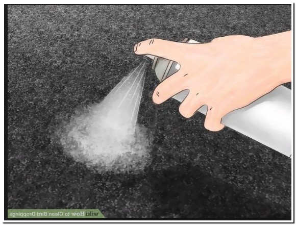 Home And Garden Bedding Tutorial 5 Ways To Cleaning Bird Poop Off