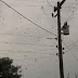 Chuva de aranhas' assusta moradores no sul de Minas