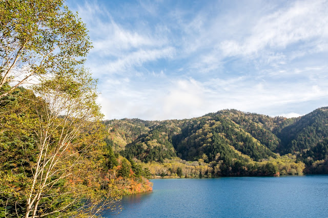 cestování po světě, blog, japonsko, nagano, shigakogen, trail around ponds