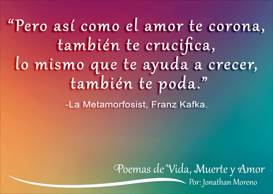 Poemas De Vida Muerte Y Amor Por Jonathan Moreno Cita Franz Kafka La Metamorfosis Franz Kafka Frases Amor Y Muerte Poemas