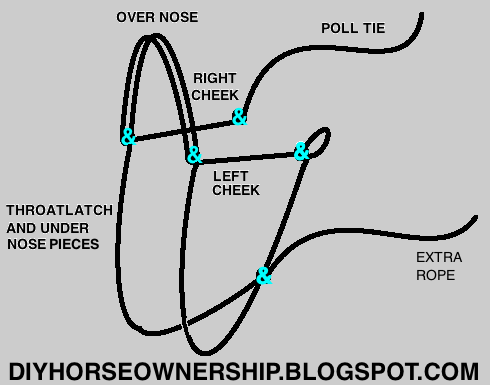 Rope Halter Diagram