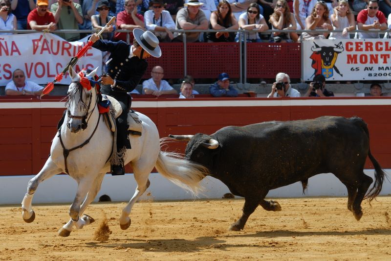 FeriaPhotos MontdeMarsan Corrida de Rejon Par Tastet Romain FeriaPhotos MontdeMarsan Corrida de Rejon Par Tastet Romain