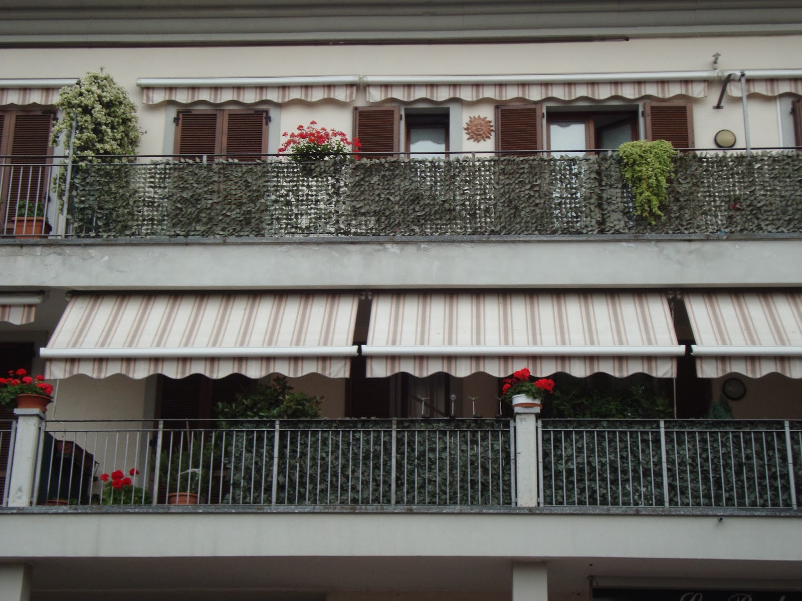 Un piccolo giardino in città : sempreverde sempreorribile