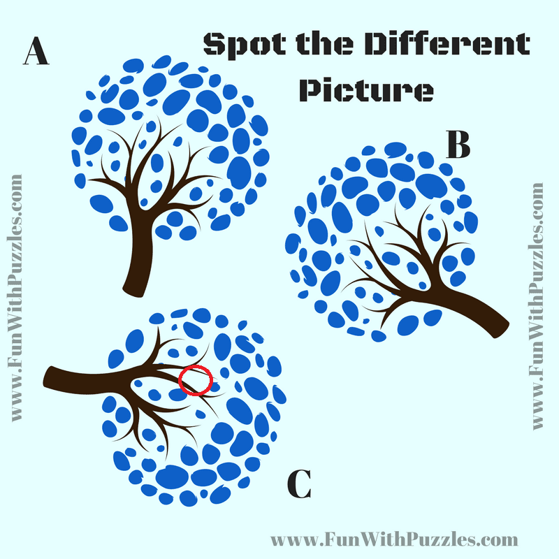 Boost Your Visual IQ with Odd One Out Picture Brain Puzzle
