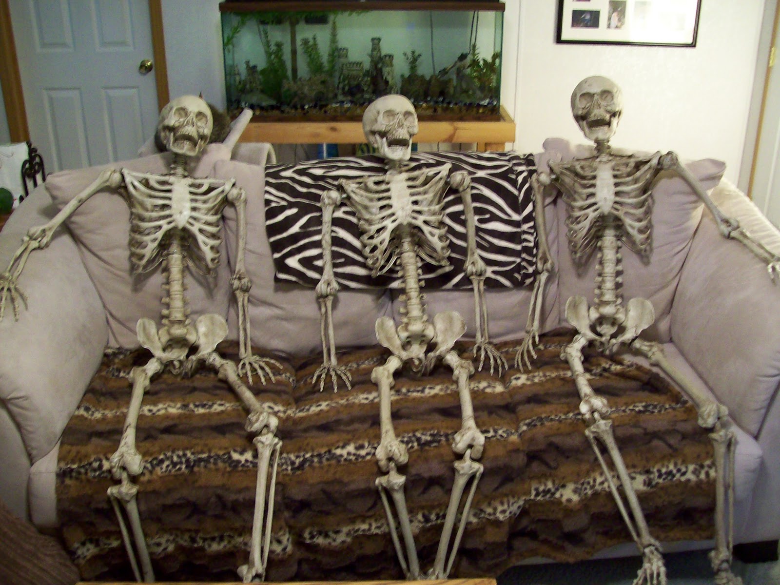 Skeleton Skeletons Bucky Hanging Joke Friends Hold Halloween Gotta Stop Tar...