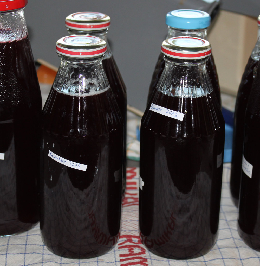 Dampfgarer Rezepte: Brombeersaft im Dampfgarer