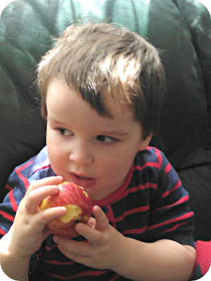 Small boy eating a Royal Gala Apple
