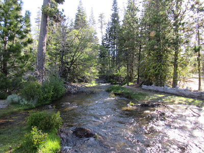 Manzanita Creek