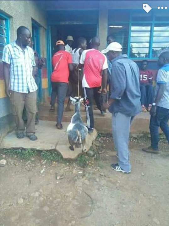 Young Kenyan Man Caught Having Sex With A Goat Disgraced And Paraded In 