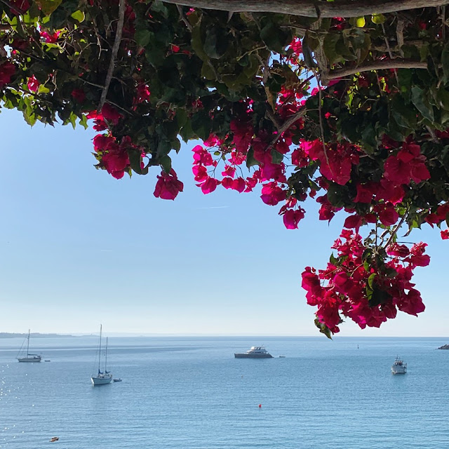 Travel // Cascais, Portugal, part one {AD with Visit Cascais} Roses