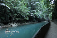 gua mimpi bantimurung