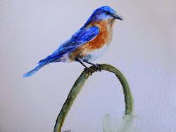 bluebird painting watercolor study
