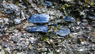 cianita roca esquisto pegmatita | foro de minerales cianita roca esquisto pegmatita | foro de minerales