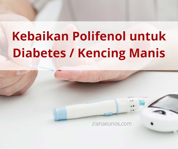 4 Kebaikan Polifenol Untuk Pesakit Diabetes / Kencing Manis 