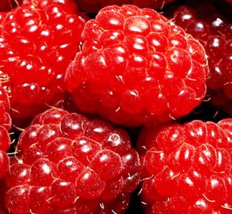 FOOD HISTORY Origin of Raspberry