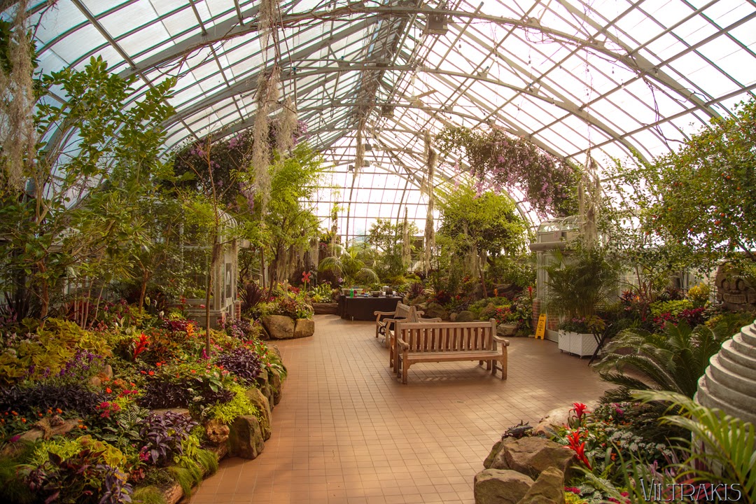 Photography from Nicholas Viltrakis Krohn Conservatory Butterfly Show 2014