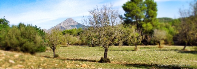 El Puig de Galatzó El Puig de Galatzó