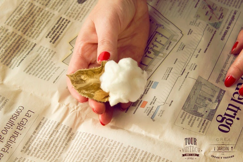 hojas doradas con bola de algodón