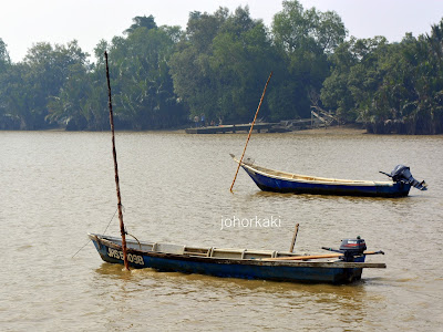 Oyster Divers in Muar, Johor Muar-Oysters-Johor
