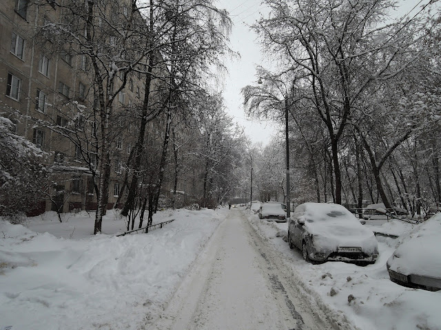 гольяново снежное