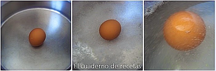 HUEVO PARA SABER PUNTO DE SALMUERA