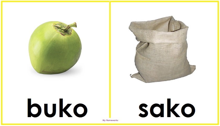 My Homeworks: MAGKASINGTUNOG NA SALITA BUKO -SAKO