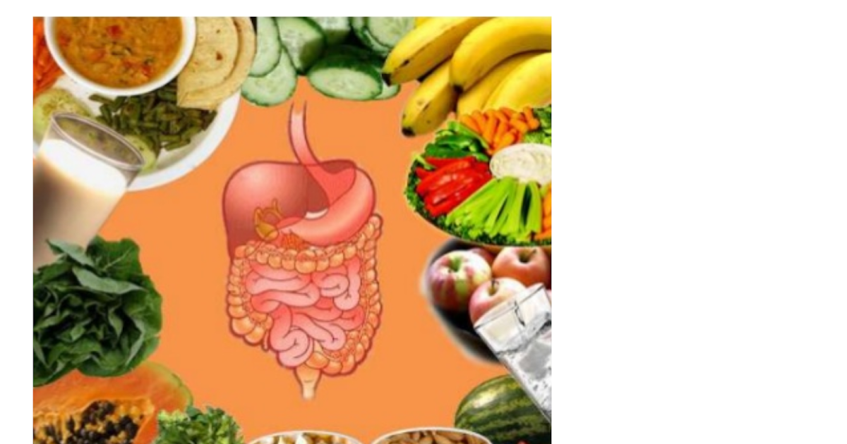 Diet and digestion ~ 4th Grade