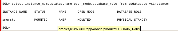 Oracle DBA: Dataguard - Creating physical standby database using RMAN ...