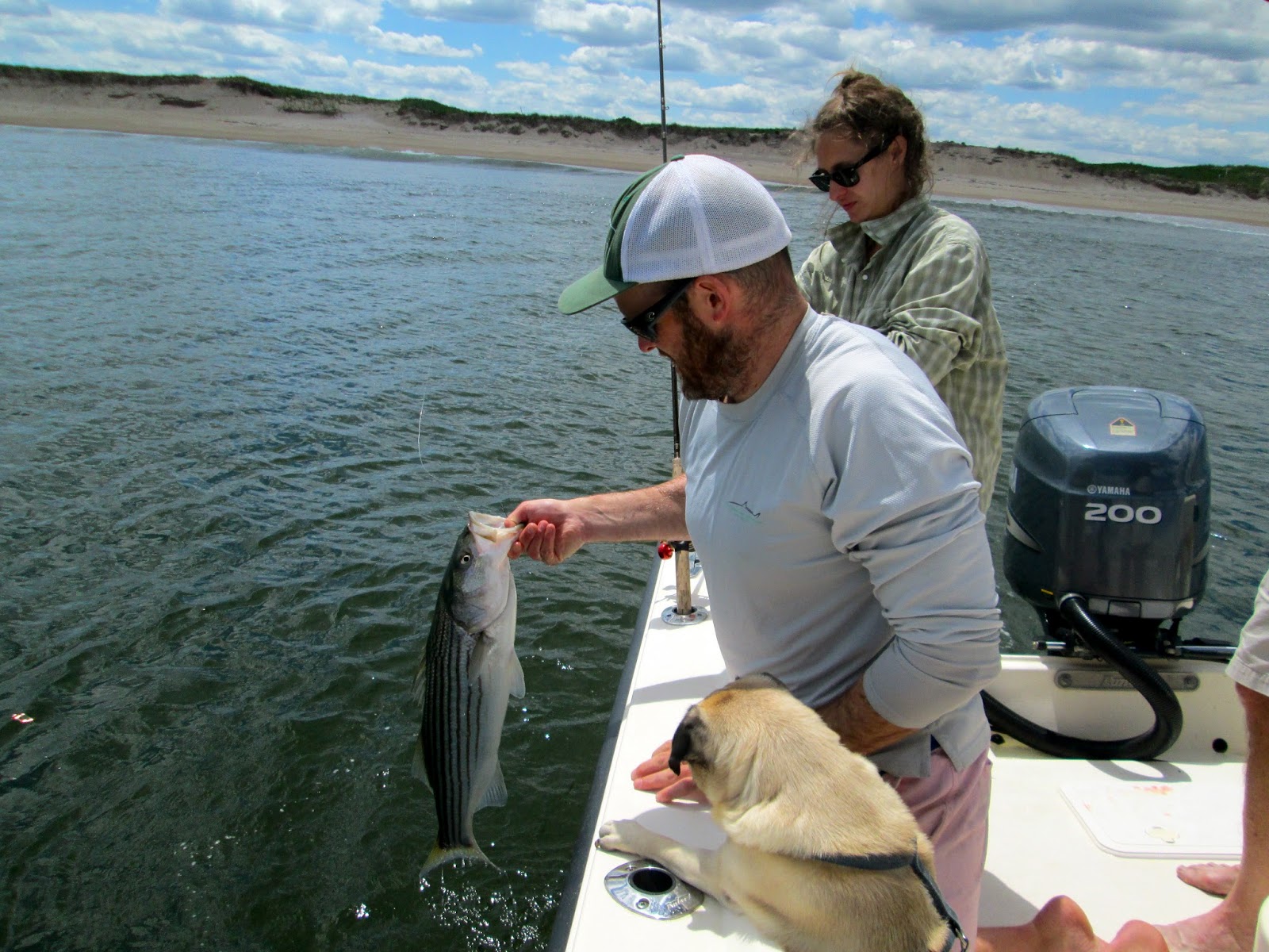 Boston Fly Fishing and Report Plum Island Striped Bass fishing with