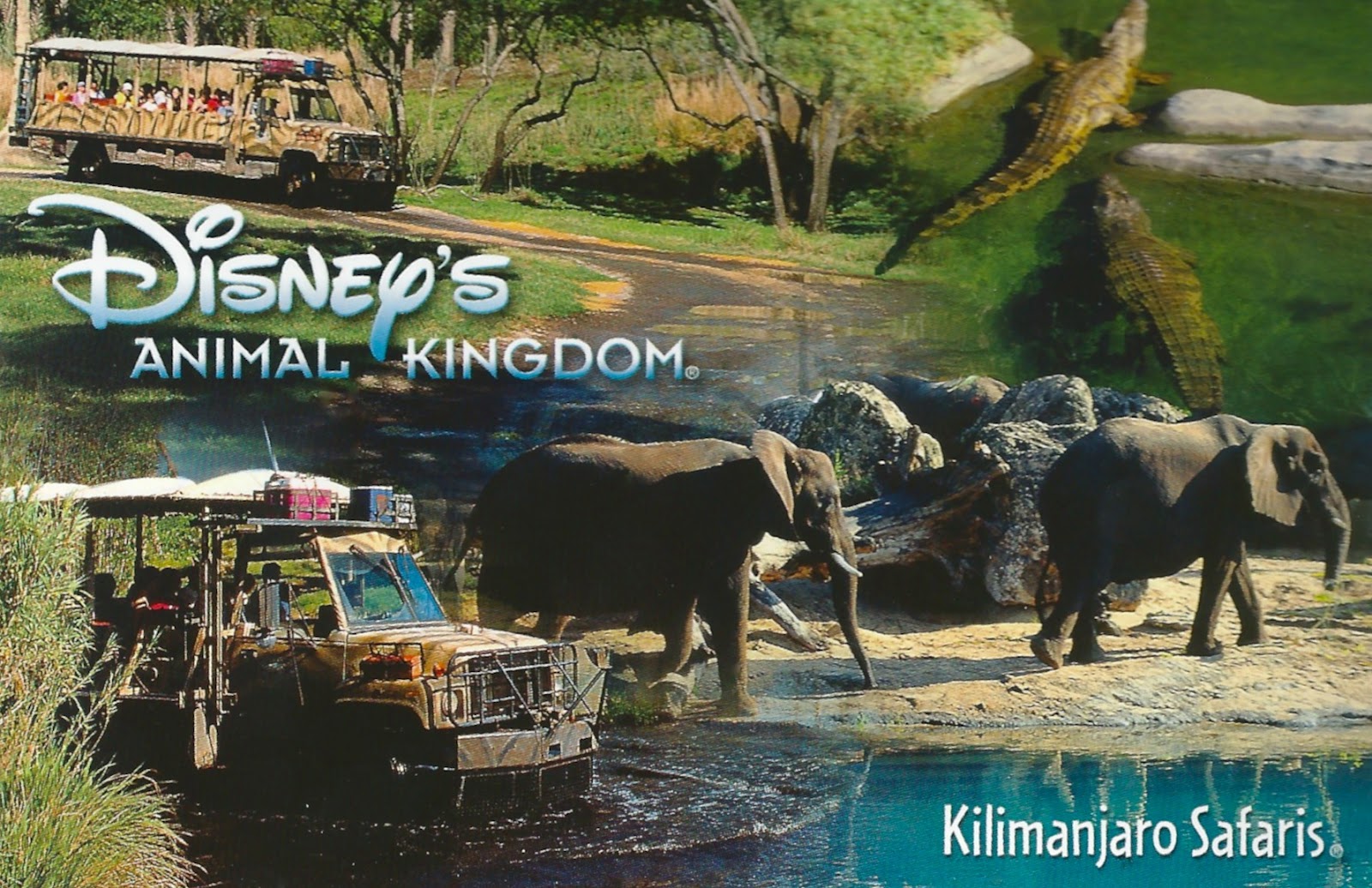My Favorite Animal Postcards: Disney's Animal Kingdom - Kilimanjaro Safari