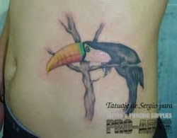 bird valkyrie tattoo
