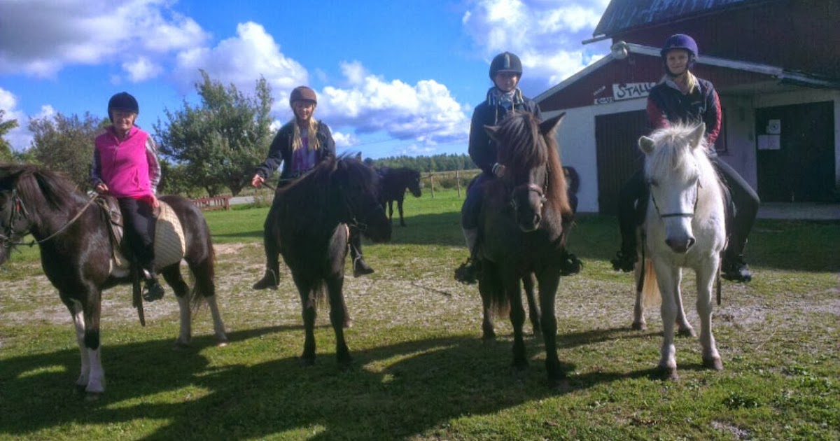 Ridning Gotland Lotta goes Gotland: Ridning och Fårönatta
