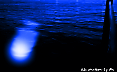Underwater UFO incident Near Catalina