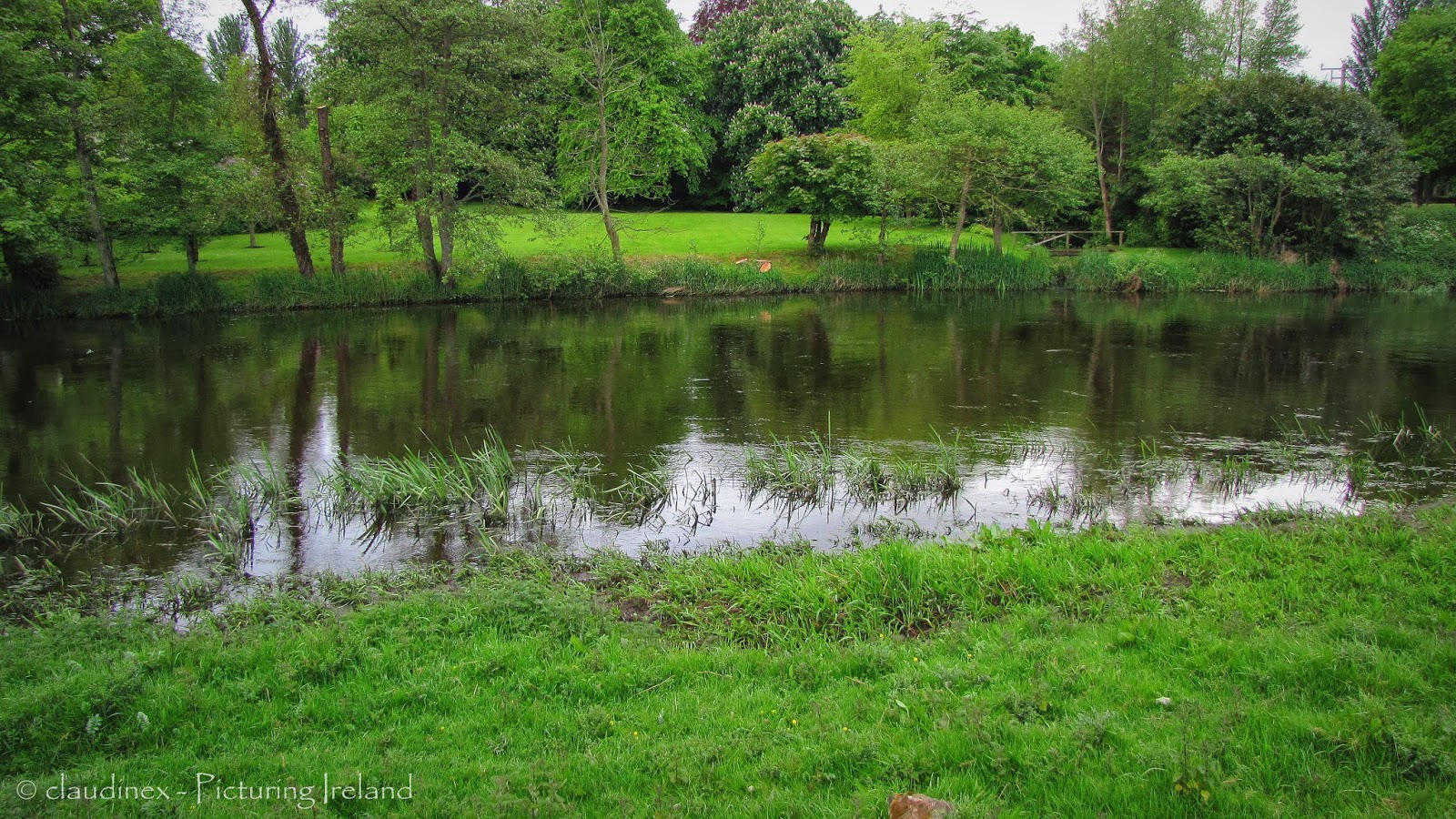 Picturing Ireland Magical Places The Fairy Hill, Carbury, Co. Kildare