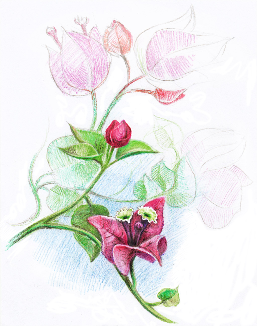 Drawing Sketch A Day By Igor Lukyanov September 2010 Drawing Sketch A Day By Igor Lukyanov September 2010