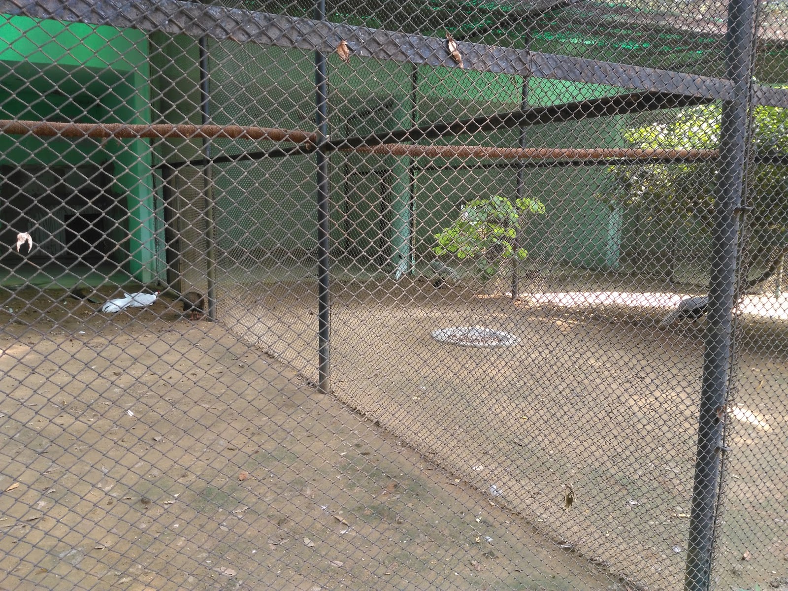 sanjay gandhi jaivik udyan patna Bihar IMAGES, GIF, ANIMATED GIF, WALLPAPER, STICKER FOR WHATSAPP & FACEBOOK