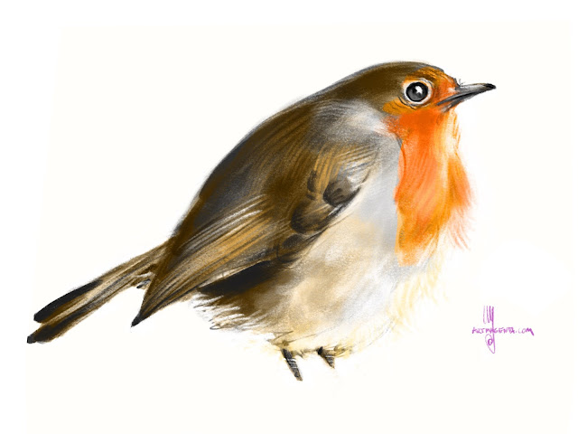 Robin bird painting by Artmagenta
