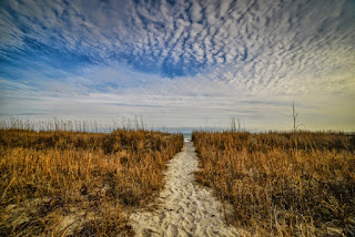 North Myrtle Beach South Carolina Myrtle Beach Condos For Rent, SC VRBO Property
