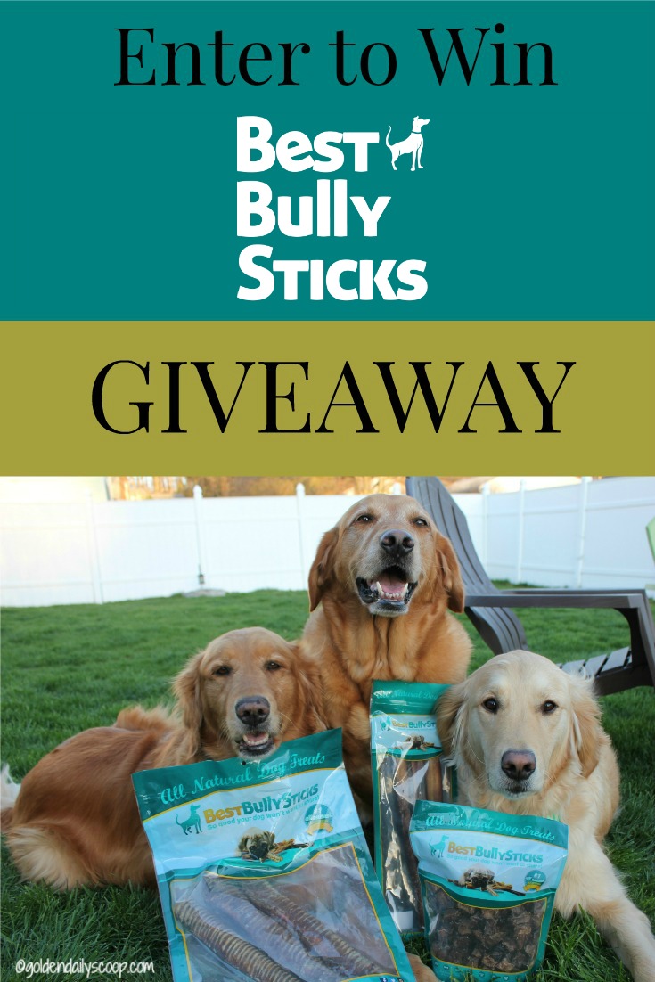 best chew toys for bully breeds