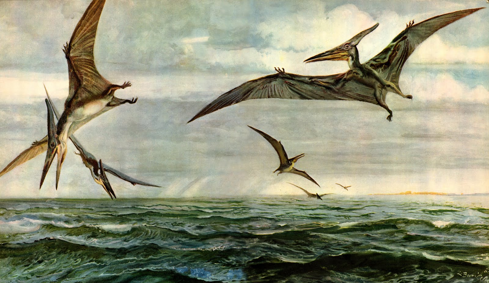 flying pteranodon
